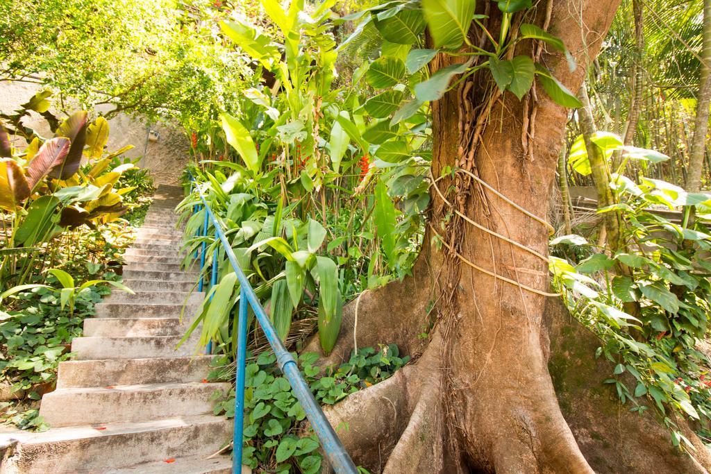 Rio Nature Hostel Ріо-де-Жанейро Екстер'єр фото